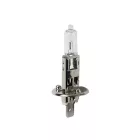 IZZÓ LAMPA 12V H1 100W
