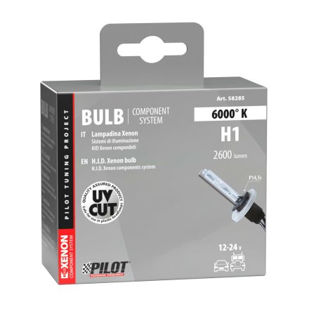 IZZÓ LAMPA 12V/24V H1 XENON 6000K 1 DB