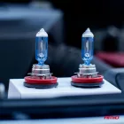 Amio Lumitec Limited +130% H11 Halogén Izzó 12V 55W Duo