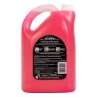 CarPlan, Demon Shine, Gyorsfény, 5L
