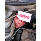 Kunagone Nyestriasztó