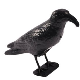 Lifetime, Galambriasztó, Varjú formájú