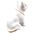 MaxSpeed, Bólogató Kutya, Bullterrier