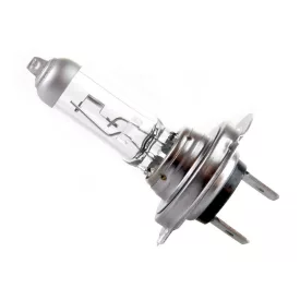 MaxSpeed, H7 Izzó, Blister, 12V 55W