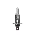 M-Tech, PTXLL1, H1 Izzó Longlife, 24V 70W, Darabos