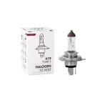 M-Tech, IZZÓ, 12V, H19, 60/55W, PU43T-3, 1 DB