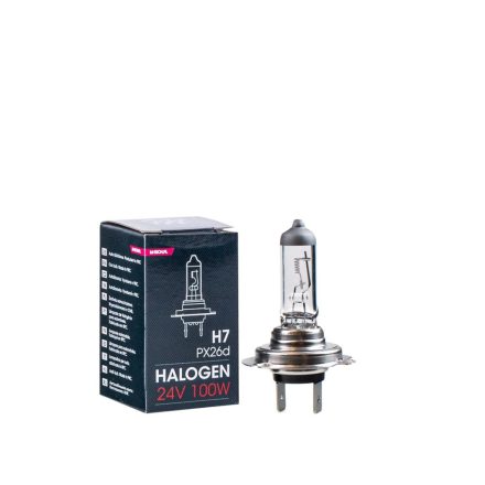 M-Tech, H7 Izzó, 24V 100W, PX26D
