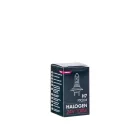 M-Tech, H7 Izzó, 24V 100W, PX26D